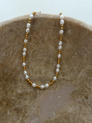 Allison Pearl & Gold Necklace