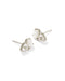 Kendra Scott Jewelry - Earrings Tatum Silver Stud Earrings Neutral Mix