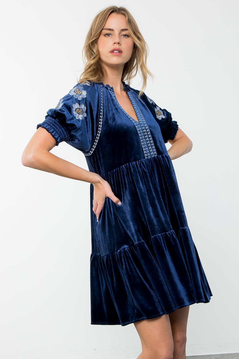 Sale Embroidered Detail Sleeve Velvet Dress